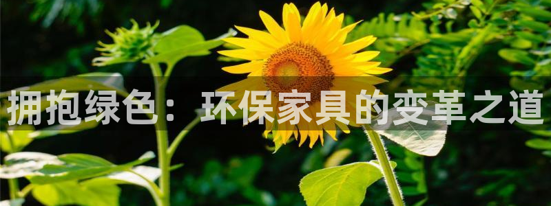 杏耀平台登陆官网