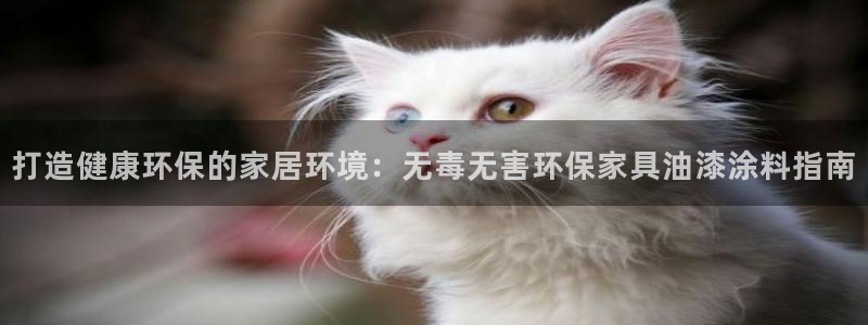 杏耀平台主管