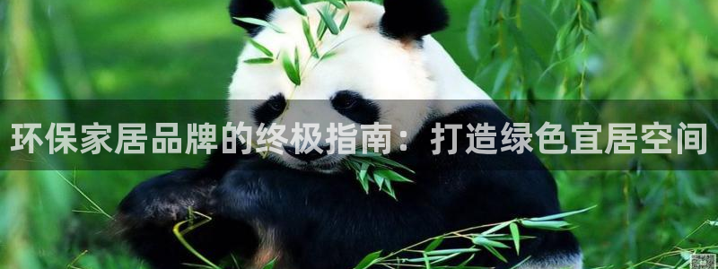 杏耀代理日工资多少