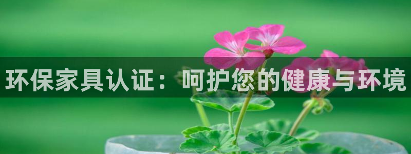 杏耀平台地址：环保家具认证：呵护您的健康与环境