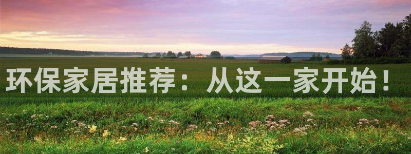 杏耀如何注册：环保家居推荐：从这一家开始！