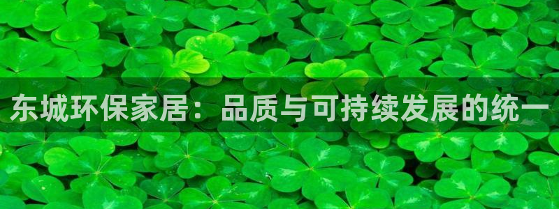 杏耀平台靠谱吗：东城环保家居：品质与可持续发展的统一