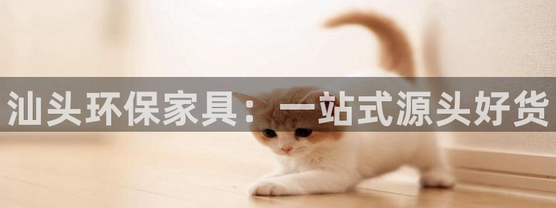 杏耀平台官网登录：汕头环保家具：一站式源头好货
