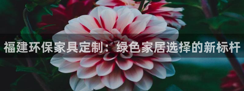 杏耀客户端登陆：福建环保家具定制：绿色家居选择的新标杆
