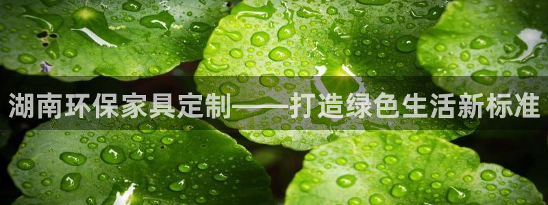 杏耀平台登录网站：湖南环保家具定制——打造绿色生活新标准