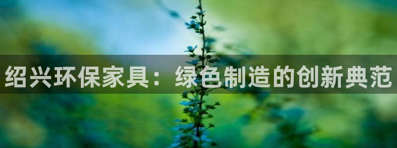 杏耀平台下载：绍兴环保家具：绿色制造的创新典范