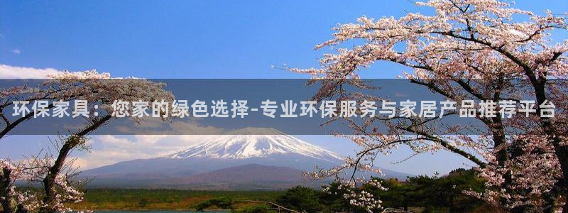 杏耀平台线路测试：环保家具：您家的绿色选择-专业环保服务与家