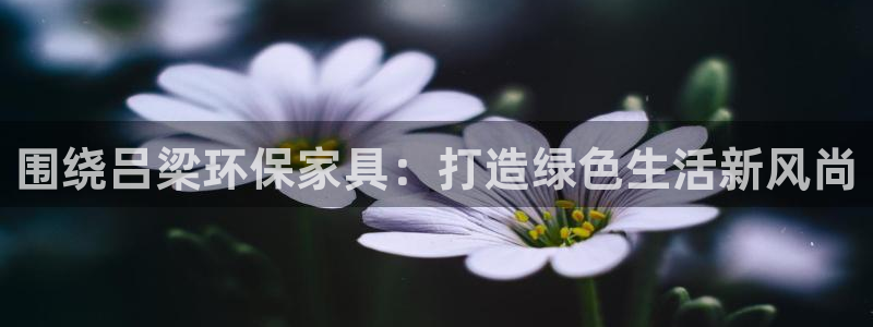 杏耀平台线路测速