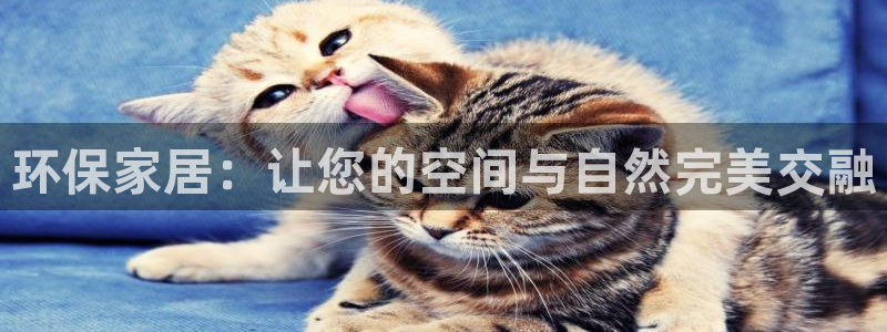 杏耀代理官网