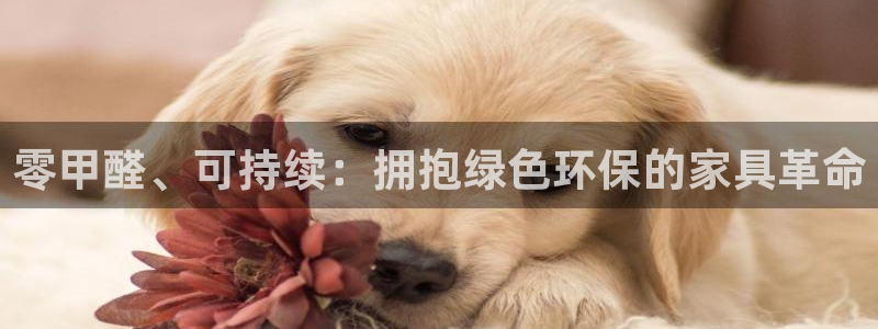 杏耀平台正规么