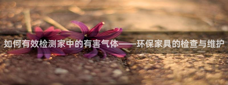 杏耀平台娱乐登陆：如何有效检测家中的有害气体——环保家具的检