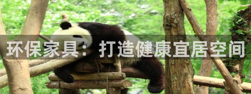 杏耀平台怎么样