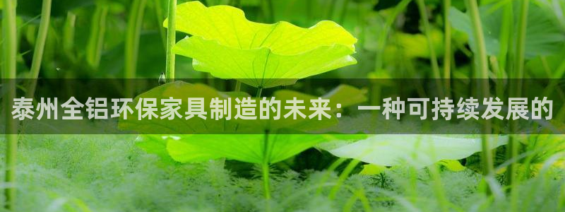 杏耀官网客服：泰州全铝环保家具制造的未来：一种可持续发展的