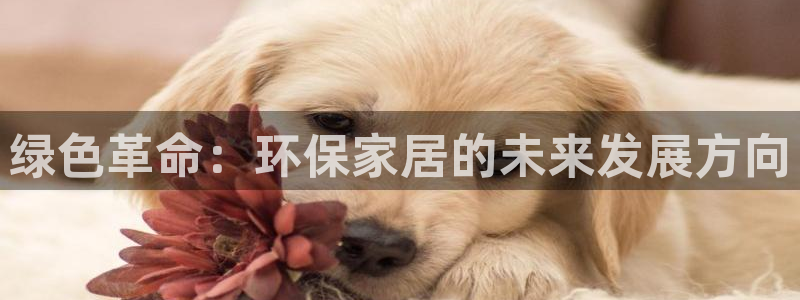 杏耀注册主管：绿色革命：环保家居的未来发展方向