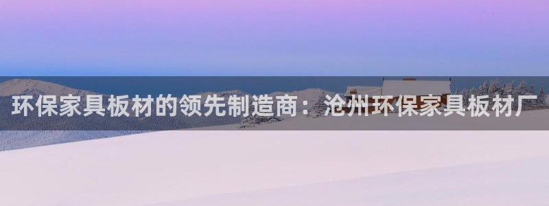 杏耀代理日工资多少