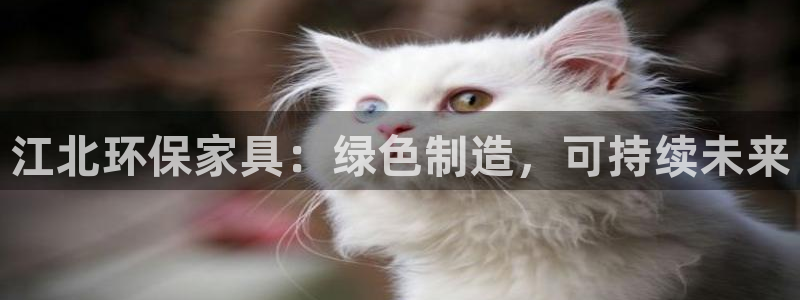 杏耀平台娱乐：江北环保家具：绿色制造，可持续未来