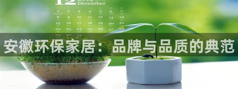 杏耀平台怎么样：安徽环保家居：品牌与品质的典范