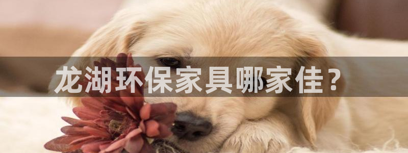 杏耀平台登陆官网