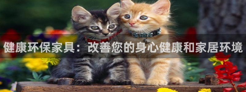 杏耀代理连接：健康环保家具：改善您的身心健康和家居环境