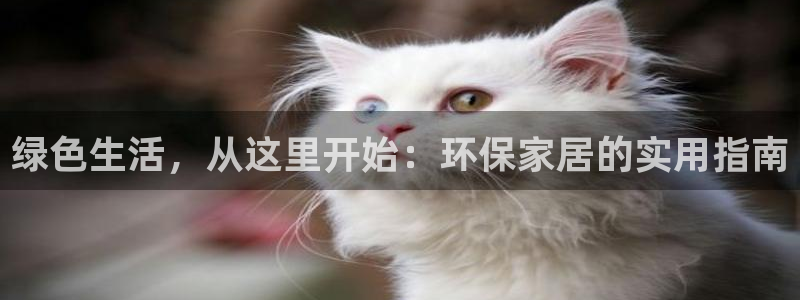 杏耀注册代理：绿色生活，从这里开始：环保家居的实用指南