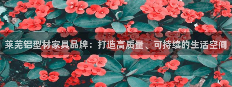 杏耀官网游戏：莱芜铝型材家具品牌：打造高质量、可持续的生活空