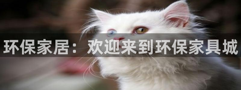 杏耀登入官网：环保家居：欢迎来到环保家具城